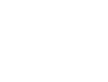 ponte consult e. V.